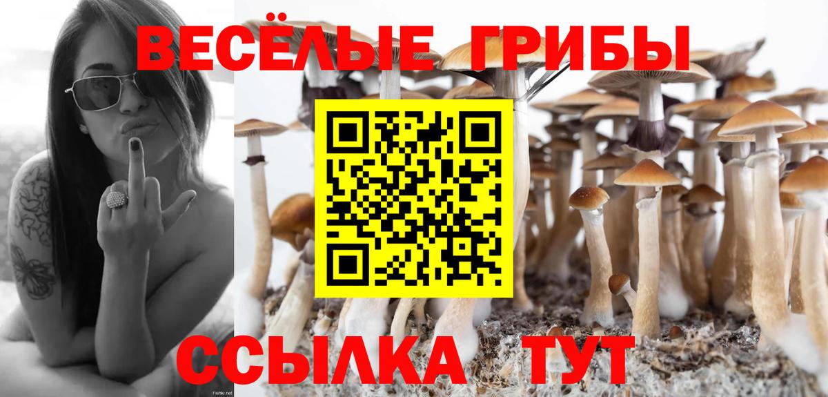 Карачаевск  Галлюциногенные грибы Magic Shrooms  Галлюциногенные грибы Psilocybe  Вход с VPN 